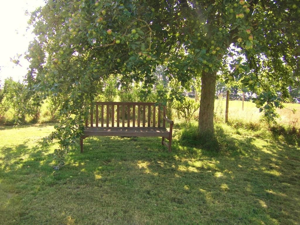 La Cloue Bed & Breakfast Sainte-Marie-du-Bois  ภายนอก รูปภาพ