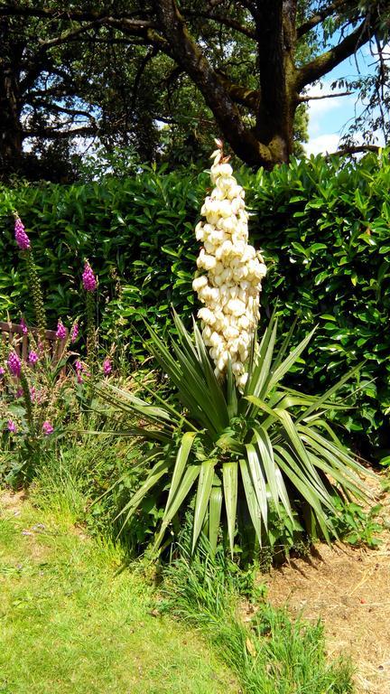 La Cloue Bed & Breakfast Sainte-Marie-du-Bois  ภายนอก รูปภาพ