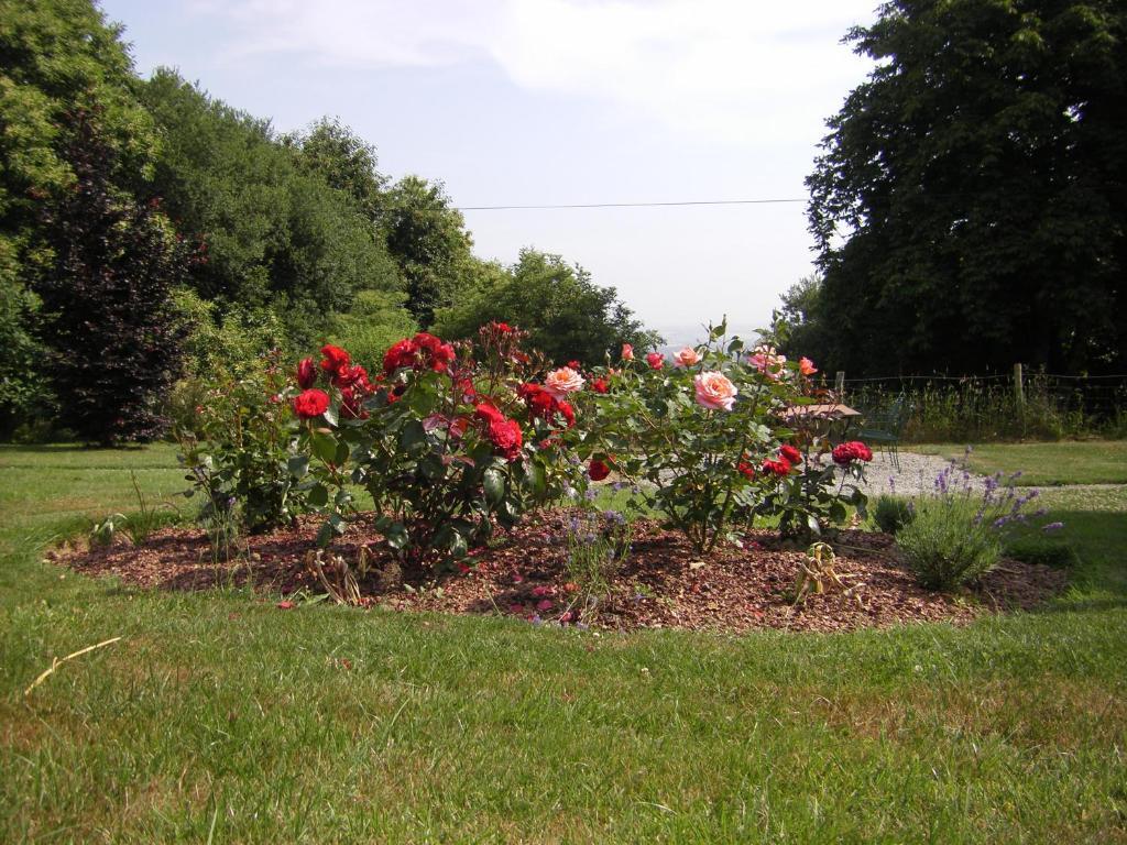 La Cloue Bed & Breakfast Sainte-Marie-du-Bois  ภายนอก รูปภาพ